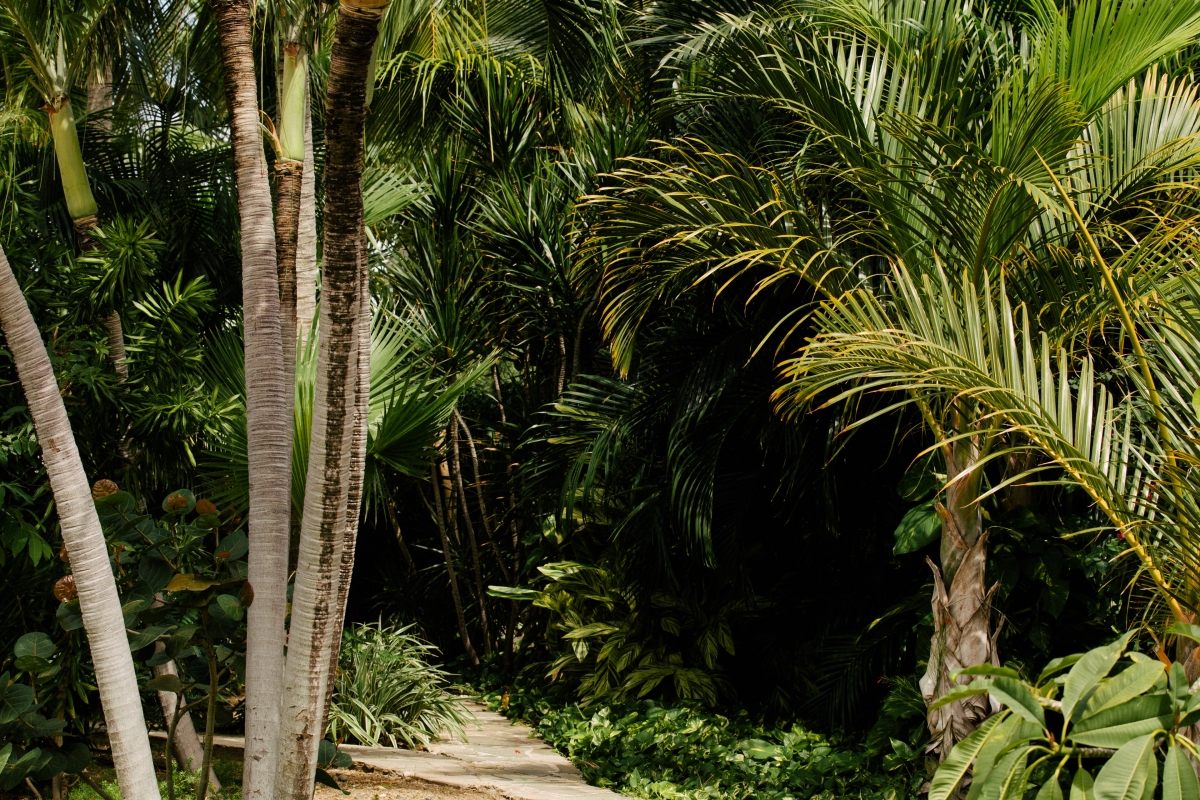 Villa Petite Plage 4 