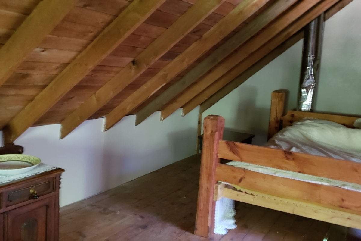 Circa 1850 Settlers Cabin