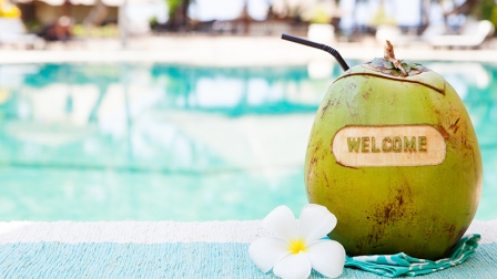 Service Welcome Arrival and Return Transfers